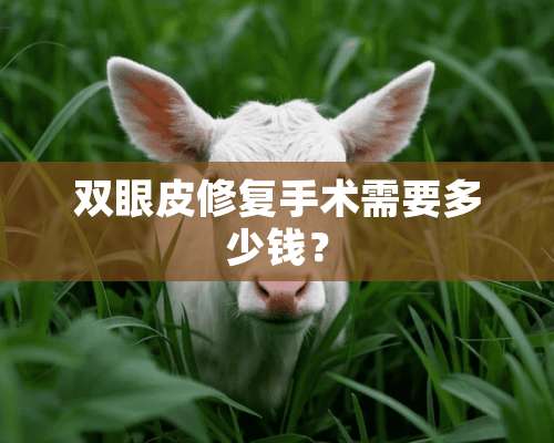 双眼皮修复手术需要多少钱？