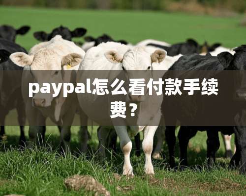 paypal怎么看付款手续费？