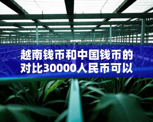 越南钱币和中国钱币的对比30000人民币可以换多少越南币？