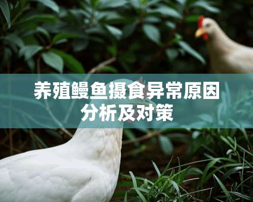 养殖鳗鱼摄食异常原因分析及对策