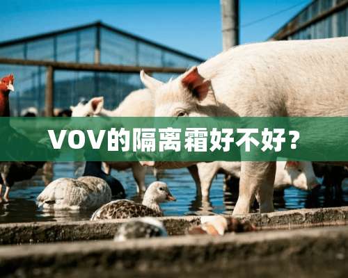 VOV的隔离霜好不好？