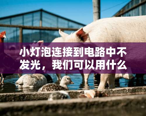 小灯泡连接到电路中不发光，我们可以用什么来检测？