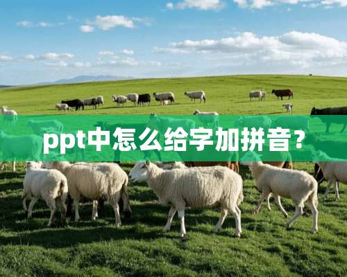 ppt中怎么给字加拼音？