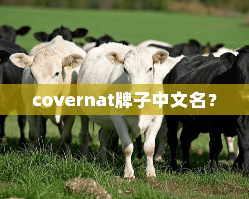 covernat牌子中文名？