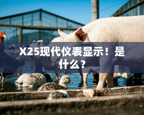 X25现代仪表显示！是什么？