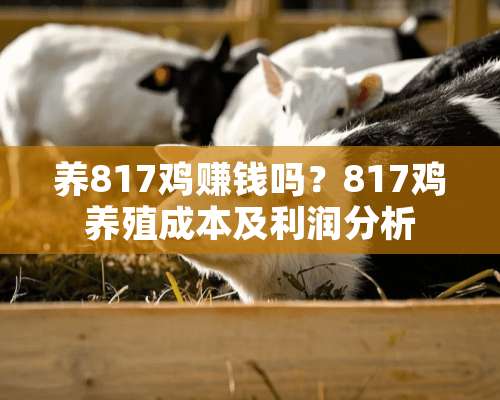 养817鸡赚钱吗？817鸡养殖成本及利润分析