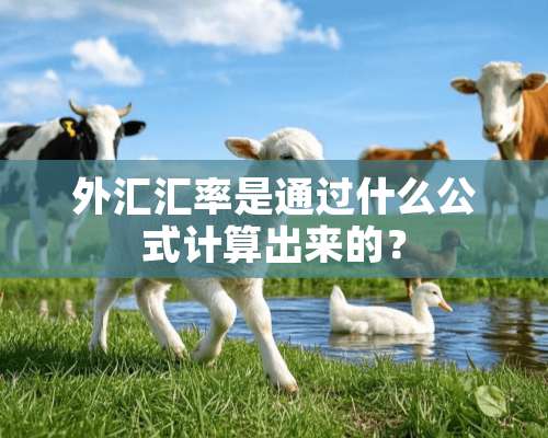 外汇汇率是通过什么公式计算出来的？