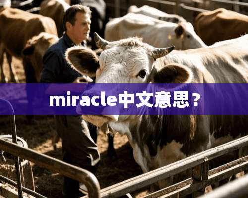 miracle中文意思？