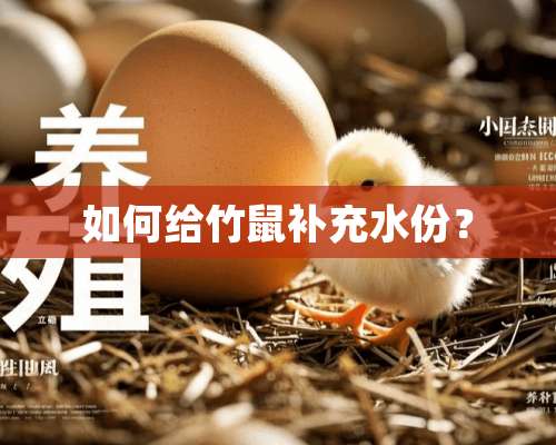 如何给竹鼠补充水份？