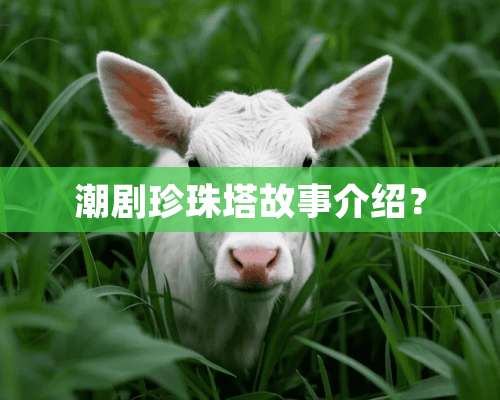 潮剧珍珠塔故事介绍？