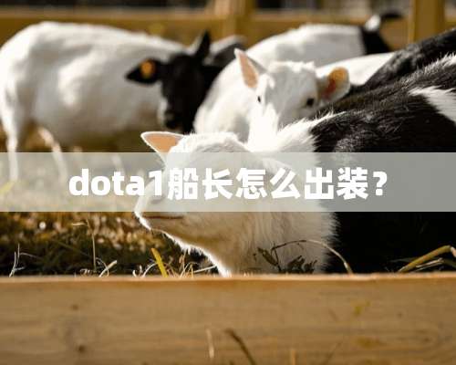 dota1船长怎么出装？