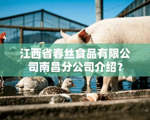 江西省春丝食品有限公司南昌分公司介绍？