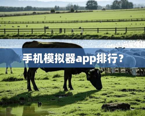 手机模拟器app排行？