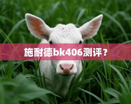 施耐德bk406测评？