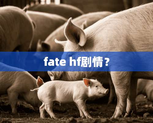 fate hf剧情？