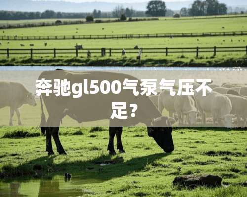 奔驰gl500气泵气压不足？