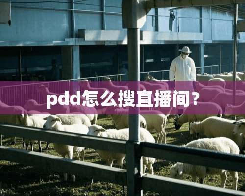 pdd怎么搜直播间？