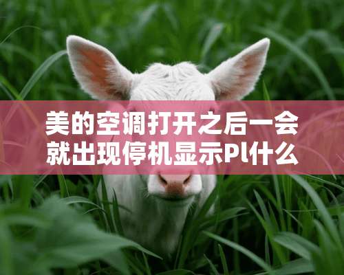 美的空调打开之后一会就出现停机显示Pl什么意思？