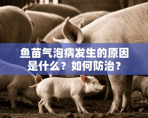 鱼苗气泡病发生的原因是什么？如何防治？