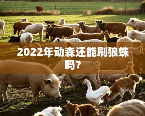 2022年动森还能刷狼蛛吗？