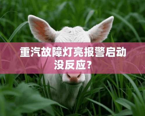 重汽故障灯亮报警启动没反应？