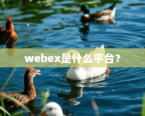 webex是什么平台？