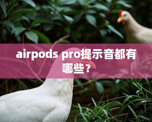 airpods pro提示音都有哪些？