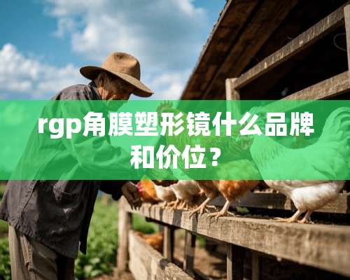 rgp角膜塑形镜什么品牌和价位？