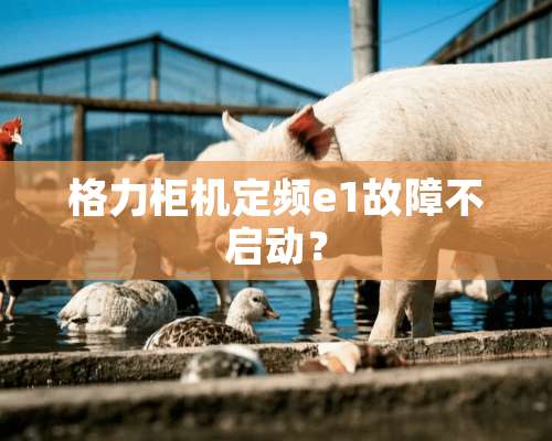 格力柜机定频e1故障不启动？