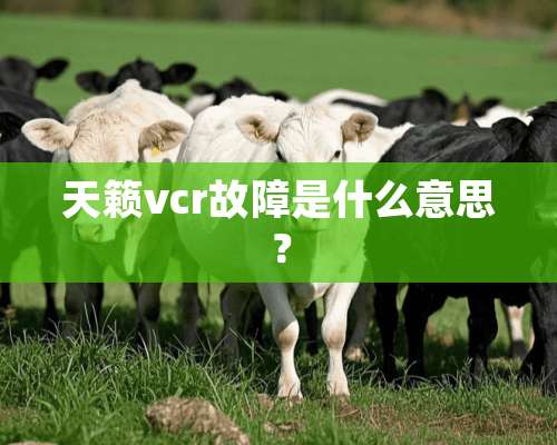 天籁vcr故障是什么意思？