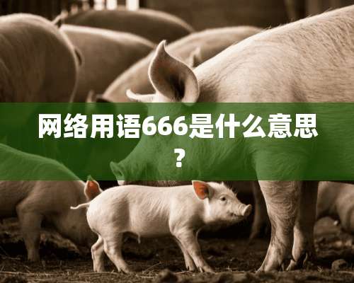 网络用语666是什么意思？