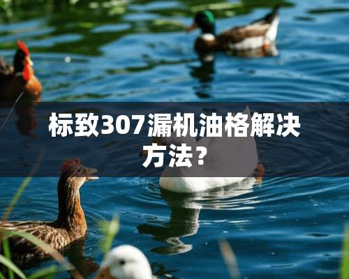 标致307漏机油格解决方法？