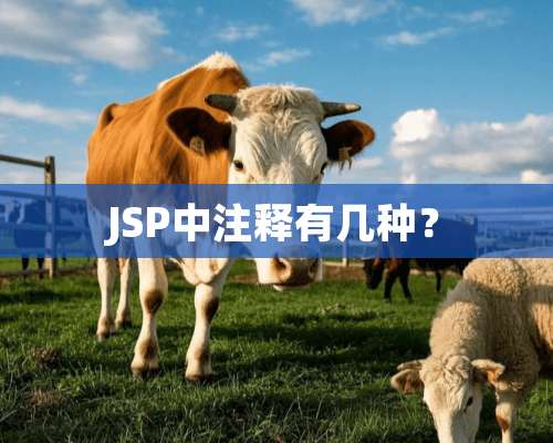 JSP中注释有几种？