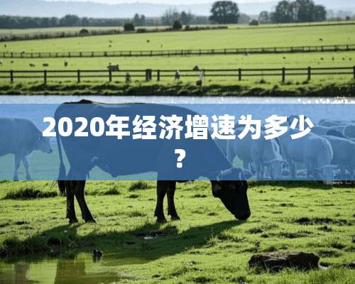 2020年经济增速为多少？