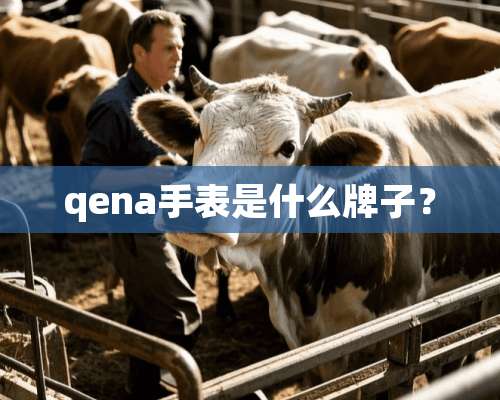 qena手表是什么牌子？