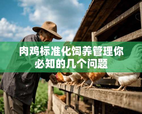 肉鸡标准化饲养管理你必知的几个问题