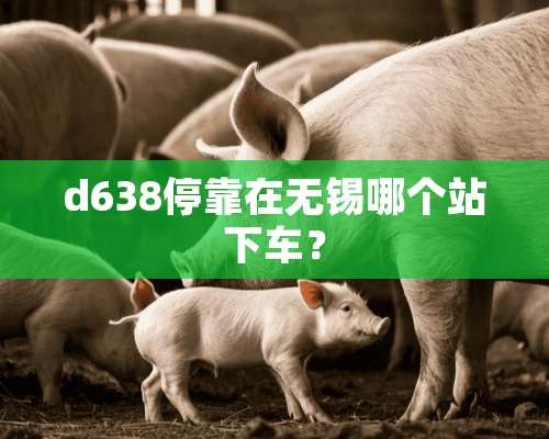 d638停靠在无锡哪个站下车？