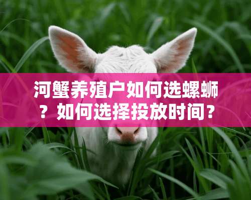 河蟹养殖户如何选螺蛳？如何选择投放时间？