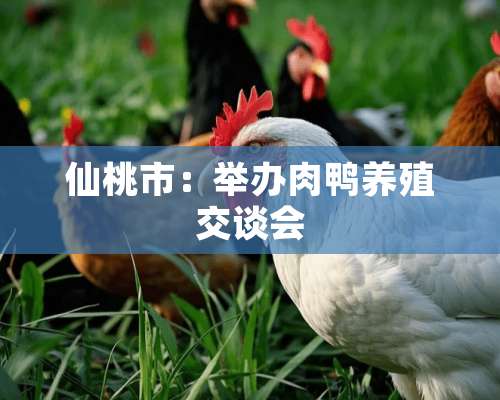 仙桃市：举办肉鸭养殖交谈会