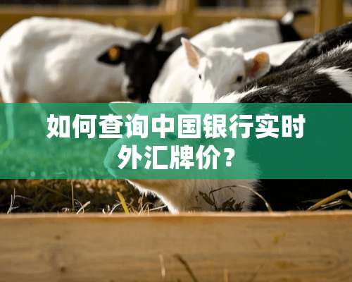 如何查询中国银行实时外汇牌价？