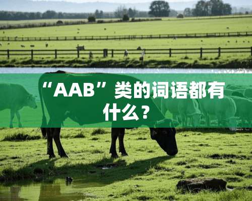 “AAB”类的词语都有什么？