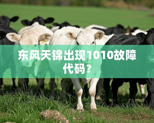 东风天锦出现1010故障代码？