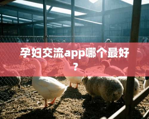 孕妇交流app哪个最好？