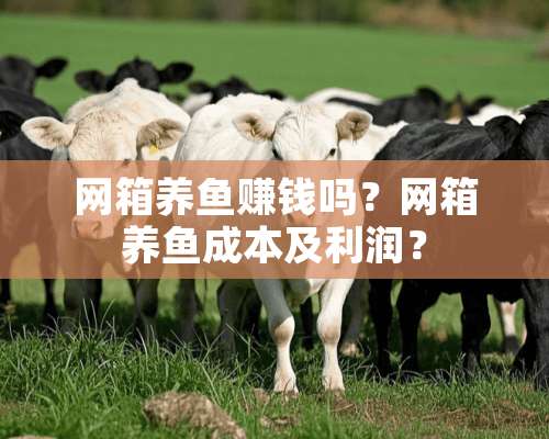 网箱养鱼赚钱吗？网箱养鱼成本及利润？