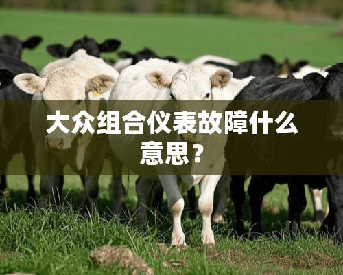 大众组合仪表故障什么意思？