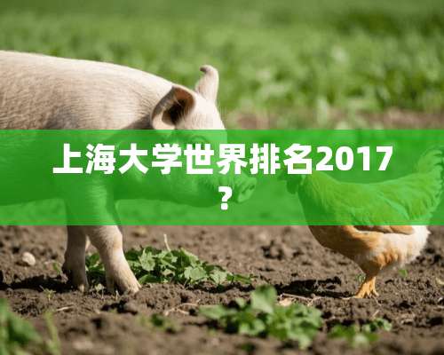 上海大学世界排名2017？