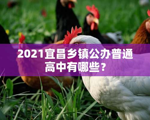 2021宜昌乡镇公办普通高中有哪些？