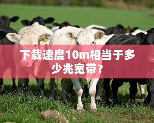 下载速度10m相当于多少兆宽带？