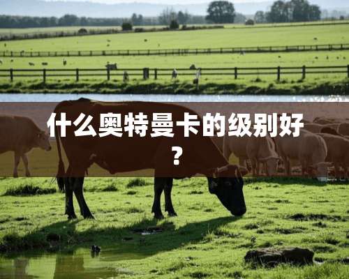 什么奥特曼卡的级别好？