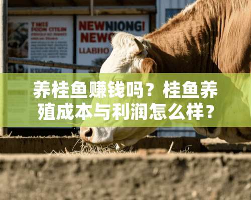 养桂鱼赚钱吗？桂鱼养殖成本与利润怎么样？